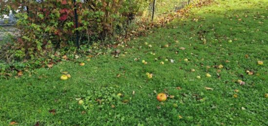 Terrain à bâtir à Montivilliers, Normandie