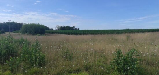 Terrain à bâtir à Bennecourt, Île-de-France
