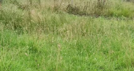 Villers-sur-le-Roule Maison neuve - 2331499-5689annonce1202511079aAq5.jpeg Les Maisons Extraco