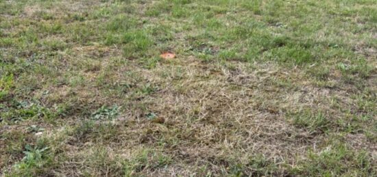 Terrain à bâtir à Les Damps, Normandie