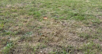 Les Damps Maison neuve - 2333640-4102annonce120251110HOSEM.jpeg Les Maisons Extraco