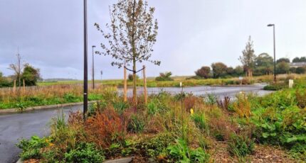 Saint-Jouin-Bruneval Maison neuve - 2337417-11180annonce120251113F9Bld.jpeg Les Maisons Extraco