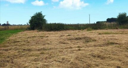 Surtauville Maison neuve - 2333705-4102annonce120251110Tz7TF.jpeg Les Maisons Extraco