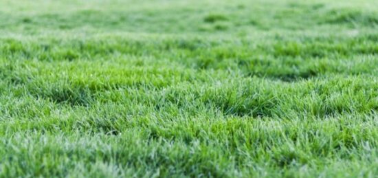 Terrain à bâtir à Saint-Martin-de-la-Lieue, Normandie