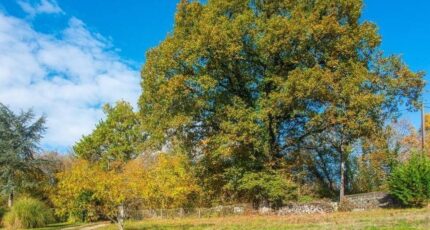 Conflans-Sainte-Honorine Terrain à bâtir - 2339163-11589annonce120251114uR77F.jpeg Les Maisons Extraco