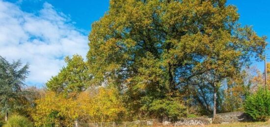 Terrain à bâtir à Conflans-Sainte-Honorine, Île-de-France