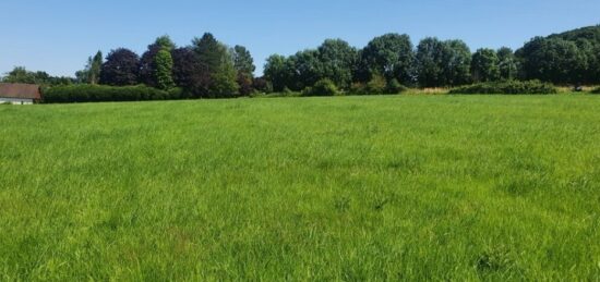 Terrain à bâtir à Toutainville, Normandie