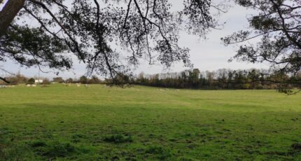 Villers-sur-Mer Maison neuve - 2339303-11216annonce120251115SkBbL.jpeg Les Maisons Extraco