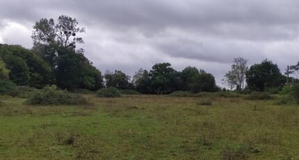 Trouville-sur-Mer Maison neuve - 2341253-11216annonce120251118Tax1p.jpeg Les Maisons Extraco