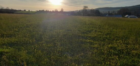 Terrain à bâtir à Douvrend, Normandie