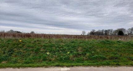 Le Catelier Maison neuve - 2243202-4093annonce1202508087EXXa.jpeg Les Maisons Extraco