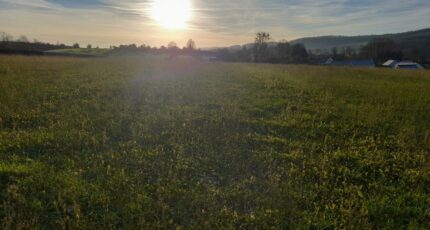 Douvrend Maison neuve - 2241420-4093annonce1202508067VJFN.jpeg Les Maisons Extraco