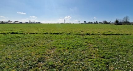 Beuzeville-la-Grenier Maison neuve - 2343933-11180annonce120251120z6vcN.jpeg Les Maisons Extraco