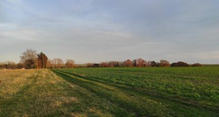 Tourny Maison neuve - 2343921-5689annonce120251120ptEWq.jpeg Les Maisons Extraco