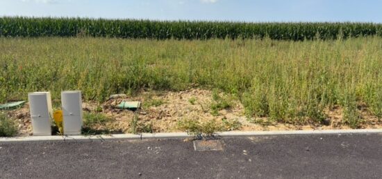 Terrain à bâtir à Allouville-Bellefosse, Normandie