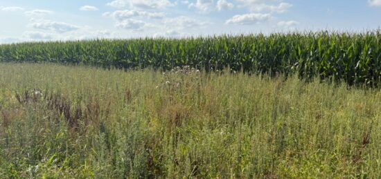 Terrain à bâtir à , Seine-Maritime