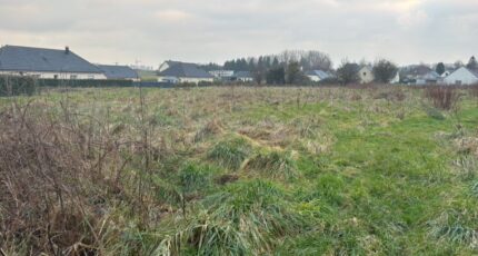 Yerville Maison neuve - 2346102-11217annonce120251121kgXhB.jpeg Les Maisons Extraco