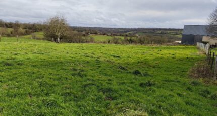 Cambremer Maison neuve - 2346101-11216annonce120251121IftXU.jpeg Les Maisons Extraco