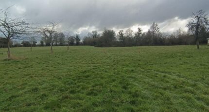 Saint-Hymer Maison neuve - 2346976-11215annonce120251123m5RSP.jpeg Les Maisons Extraco