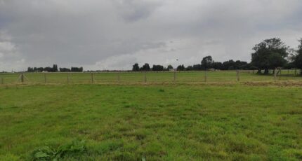 Beaumesnil Maison neuve - 2350202-4101annonce120251126hLkhA.jpeg Les Maisons Extraco