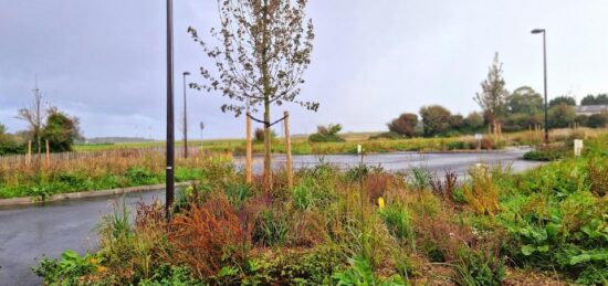 Terrain à bâtir à Saint-Jouin-Bruneval, Normandie