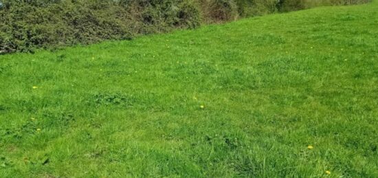 Terrain à bâtir à Compainville, Normandie