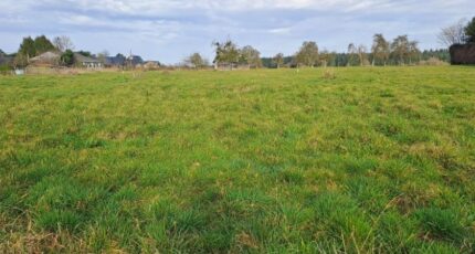 Fierville-les-Parcs Maison neuve - 2350481-11216annonce1202511272XPPJ.jpeg Les Maisons Extraco