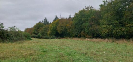 Terrain à bâtir à Mareil-le-Guyon, Île-de-France
