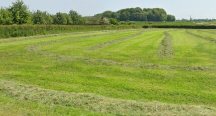 Fresles Maison neuve - 2357122-11690annonce120251204VIVX3.jpeg Les Maisons Extraco