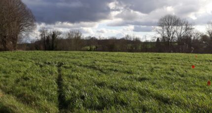 Hacqueville Maison neuve - 2357969-5689annonce1202512045ShbH.jpeg Les Maisons Extraco