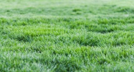 Saint-Martin-aux-Chartrains Maison neuve - 2359406-11216annonce120251201SOgI9.jpeg Les Maisons Extraco