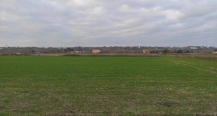 Martot Maison neuve - 2359957-6236annonce120251206cL5UD.jpeg Les Maisons Extraco