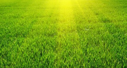 Bernay Terrain à bâtir - 2363555-4101annonce1202512100erLo.jpeg Les Maisons Extraco