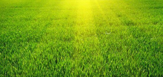 Terrain à bâtir à Bernay, Normandie