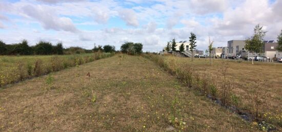 Terrain à bâtir à Moult, Normandie