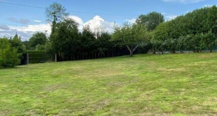 Le Breuil-en-Auge Maison neuve - 2363940-11216annonce1202512105QzQi.jpeg Les Maisons Extraco