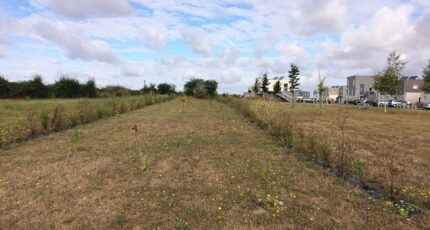 Moult Maison neuve - 2363480-11215annonce120251210VUnW2.jpeg Les Maisons Extraco