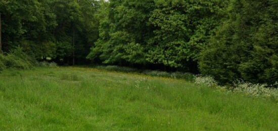 Terrain à bâtir à Gournay-en-Bray, Normandie