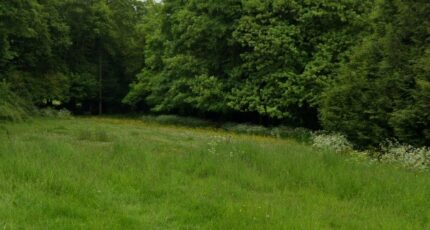 Gournay-en-Bray Maison neuve - 2365428-11690annonce120251211IQQcS.jpeg Les Maisons Extraco