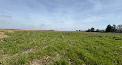 Jumelles Maison neuve - 2367597-11219annonce120251210ahyqv.jpeg Les Maisons Extraco