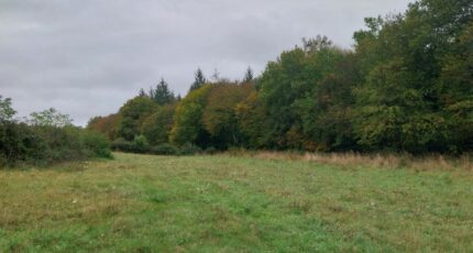 Mareil-le-Guyon Maison neuve - 2368048-11589annonce120251204HknU3.jpeg Les Maisons Extraco