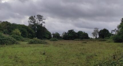 Trouville-sur-Mer Terrain à bâtir - 2371711-11216annonce120251217fzx7b.jpeg Les Maisons Extraco