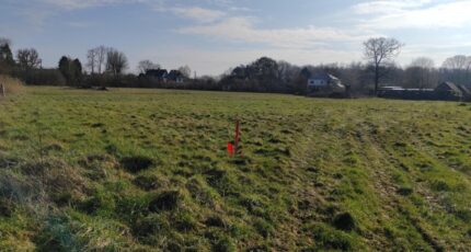 Auberville Maison neuve - 2371670-11216annonce120251217onC5O.jpeg Les Maisons Extraco