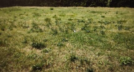 Criquebeuf-sur-Seine Maison neuve - 2373788-6236annonce120251222OR7Ps.jpeg Les Maisons Extraco