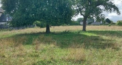 Saint-Pierre-des-Fleurs Maison neuve - 2374588-4102annonce120251223G93ii.jpeg Les Maisons Extraco