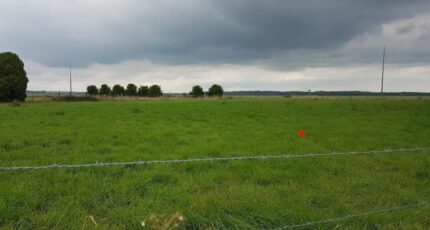 Amfreville-la-Campagne Maison neuve - 2374625-4102annonce120251223yfaQG.jpeg Les Maisons Extraco