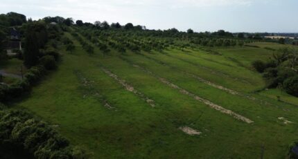 Cambremer Terrain à bâtir - 2375108-11215annonce120251223ETTgn.jpeg Les Maisons Extraco