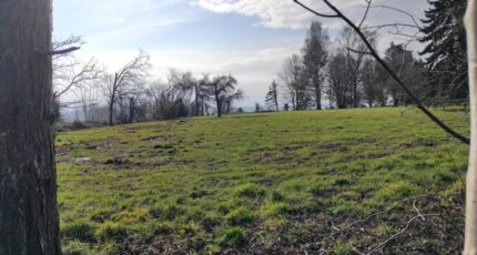 Grangues Maison neuve - 2374141-11216annonce1202512229Xd7n.jpeg Les Maisons Extraco