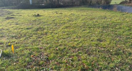 Fréville Maison neuve - 2381511-11217annonce2202601050XJGM.jpeg Les Maisons Extraco