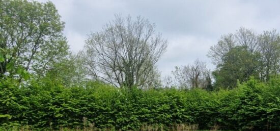 Terrain à bâtir à Tourgéville, Normandie